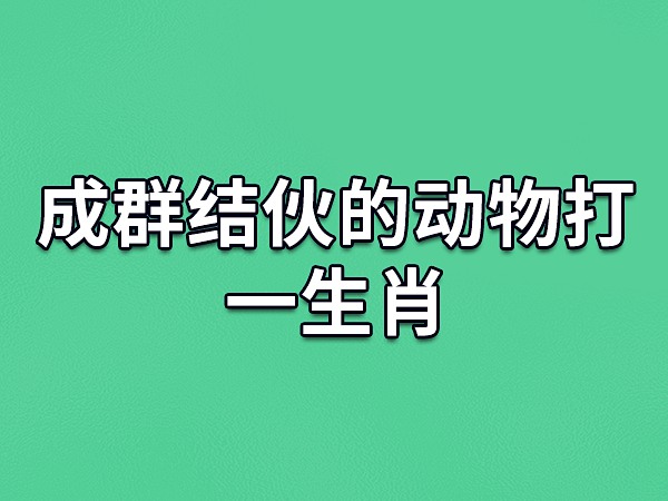 乌焉成马打一生肖动物的简单介绍