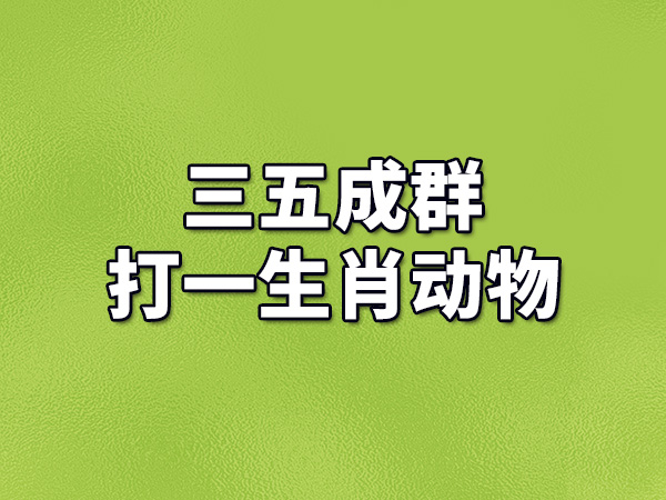 兔死狐悲打一生肖动物 ,收益成语分析落实_神州专车司机端 v6.3.5