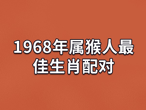 猴子称王打一生肖动物 ,收益成语分析落实_识货 v6.30.0