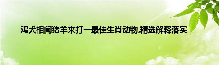 鸡犬之声相闻打一生肖动物 ,收益成语分析落实_可靠数据解释落实_iPhone66.93.12