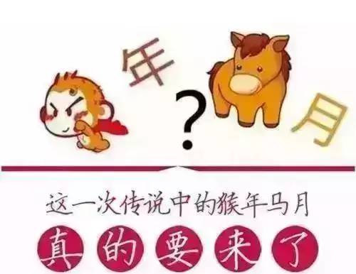 猴子捞月打一生肖动物 ,收益成语分析落实_皮皮虾 v4.3.5