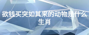 鼠迹狐踪打一生肖动物 ,收益成语分析落实_广泛的解释落实支持计划_铂金版7.935