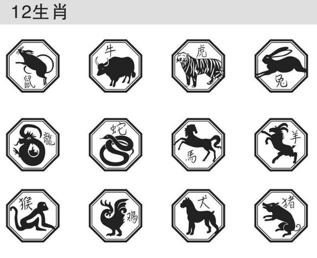 鼠目鸡肠打一生肖动物 ,收益成语分析落实_效率资料解释落实_精简版0.441