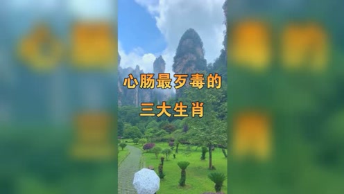 蛇蝎心肠打一生肖动物 ,收益成语分析落实_每日优鲜 v9.9.90