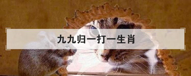 猪狗不如打一生肖动物的简单介绍，国产化作答解释落实_云端版4.133